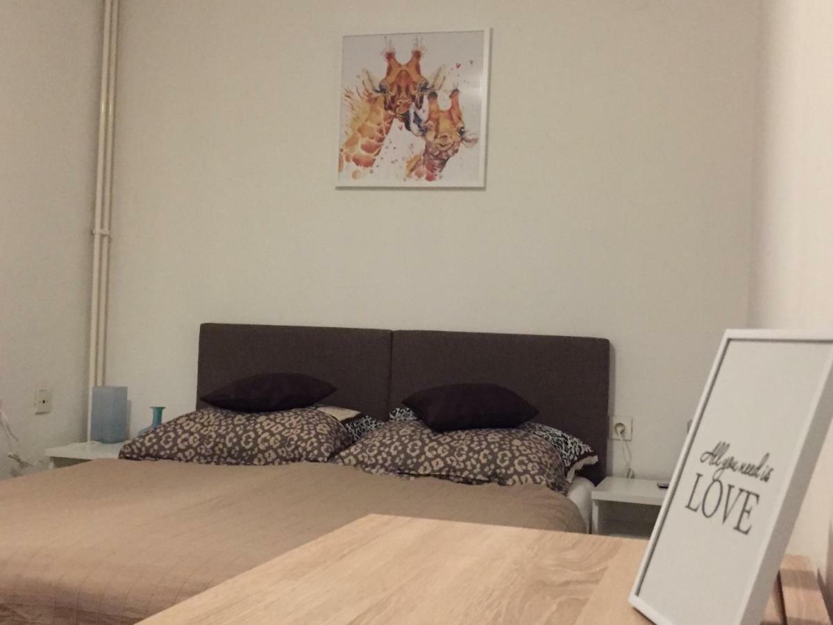 Apartment Karlovac Bagian luar foto